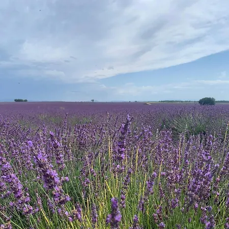 Charming House, Luberon, Near Golf And Wineries Pierrevert